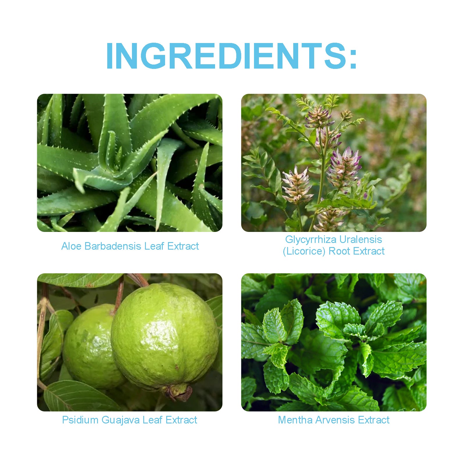 Probiotic Brightening Toothpaste – Deep Cleaning & Fresh Breath Oral Care